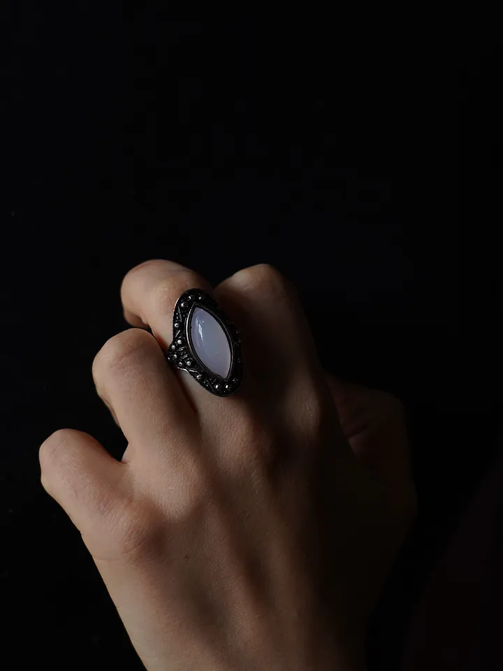 anillo 1